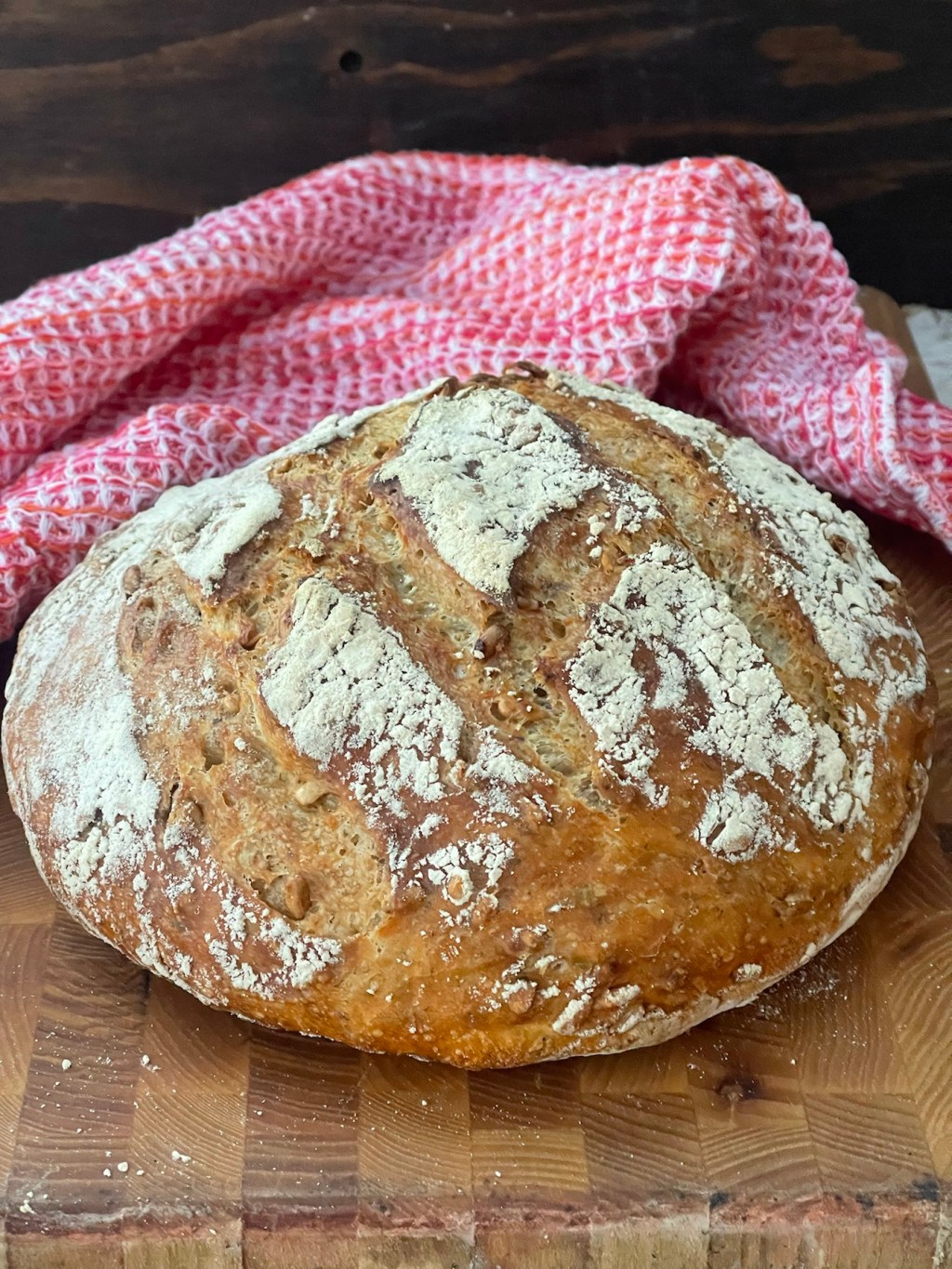 Rouheinen pataleipä