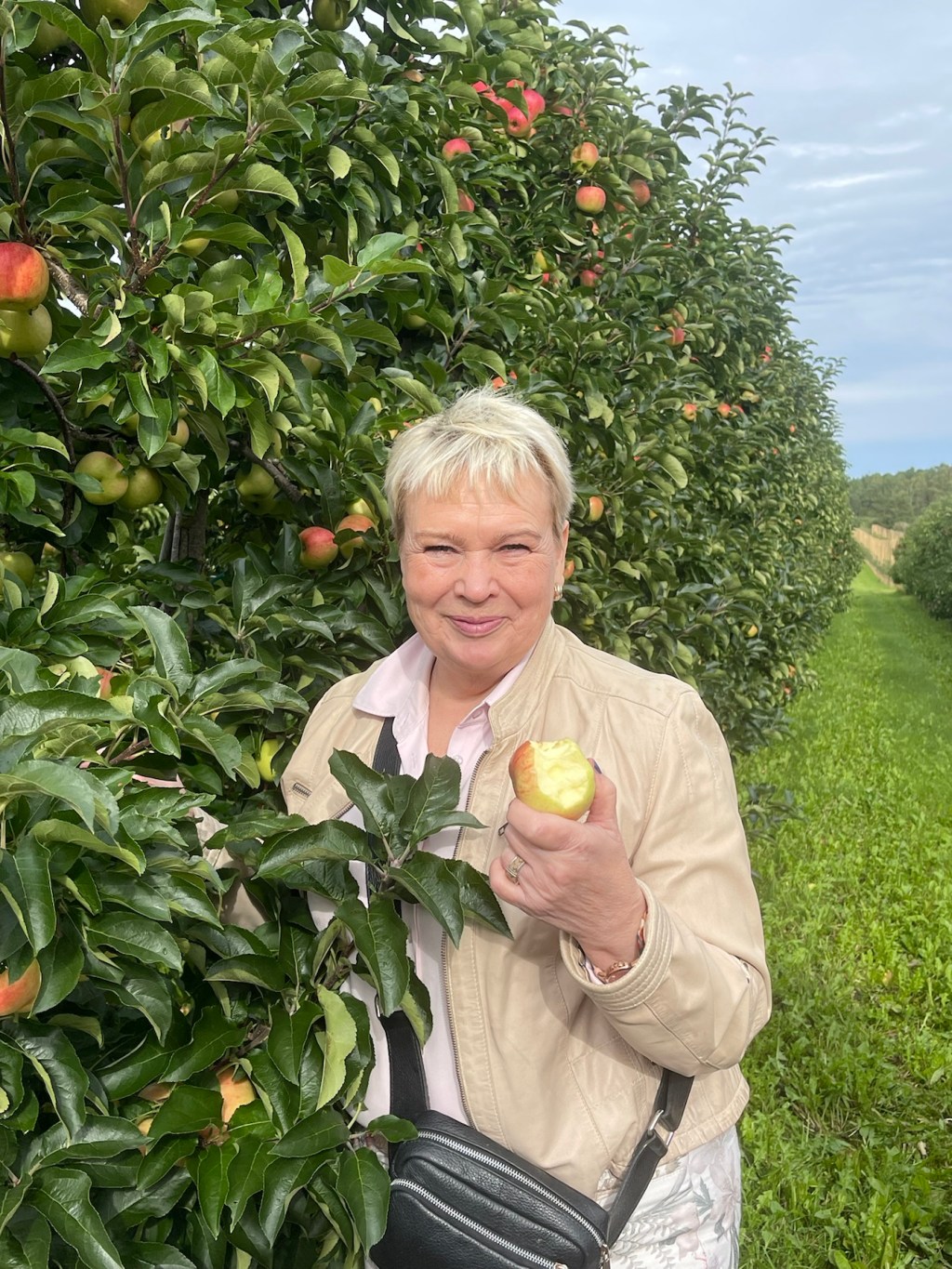 Makeat omena-vuohenjuustopiiraat