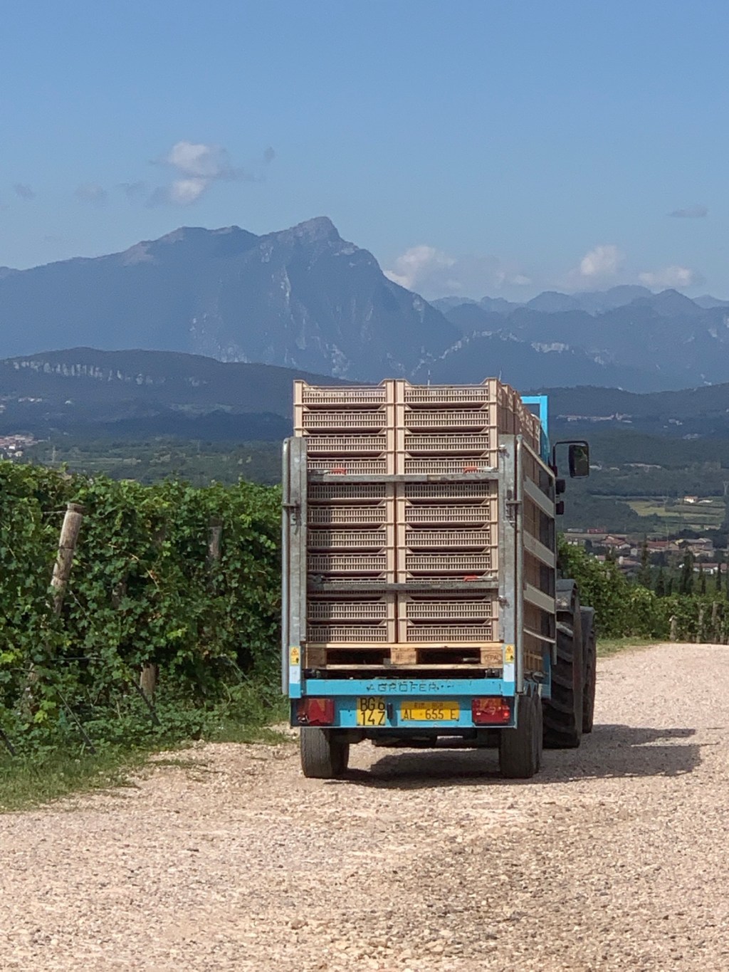 Rakkaudesta Valpolicellaan ja&nbsp;Amaroneen