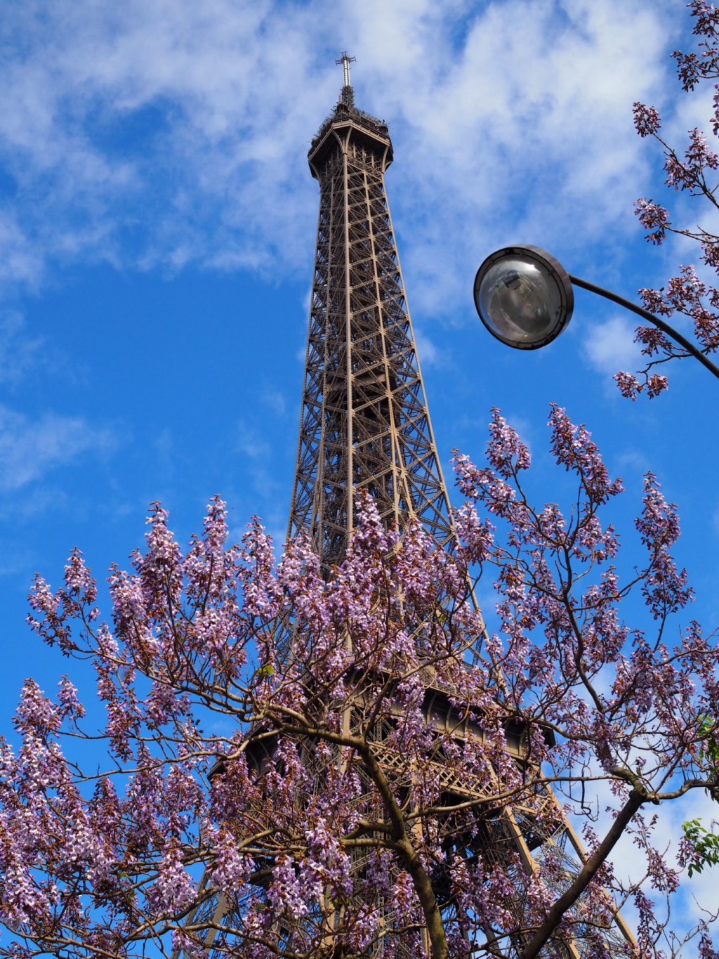 Viva la France – ranskalaista ruokaa Tiinan&nbsp;tapaan