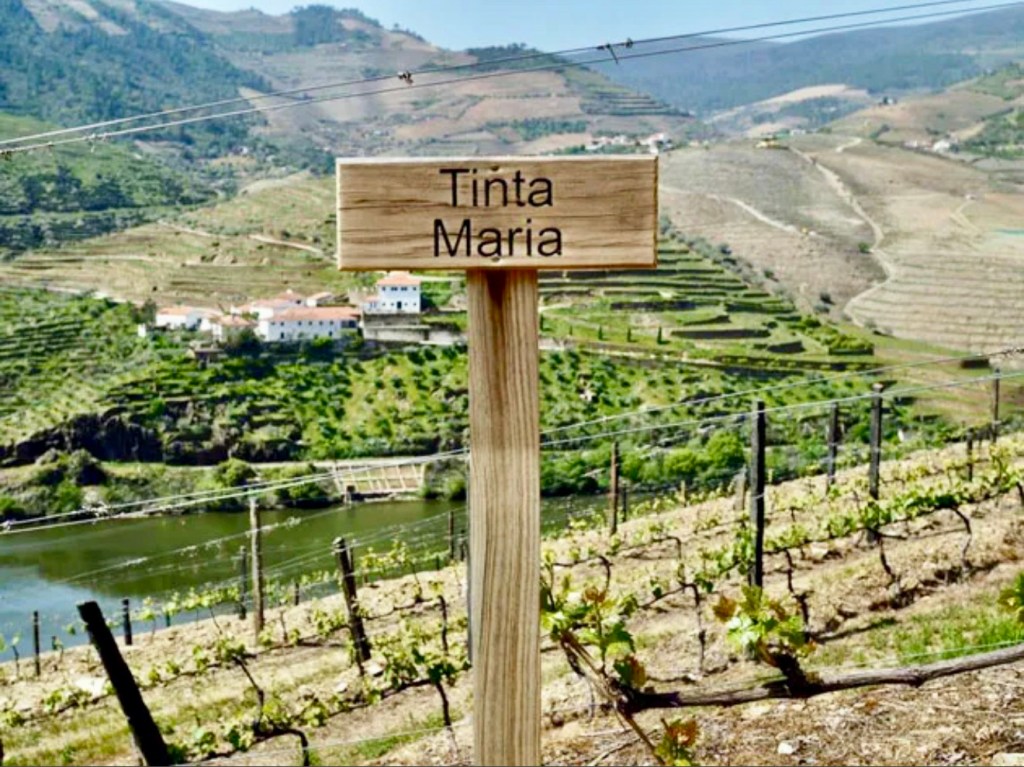 Portugalin huhtikuu :&nbsp;Douro