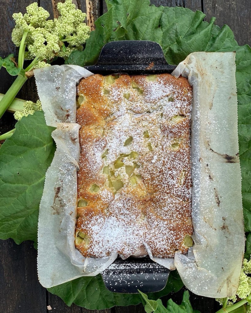 Raparperipiirakka pellissä tomusokerilla viimeisteltynä